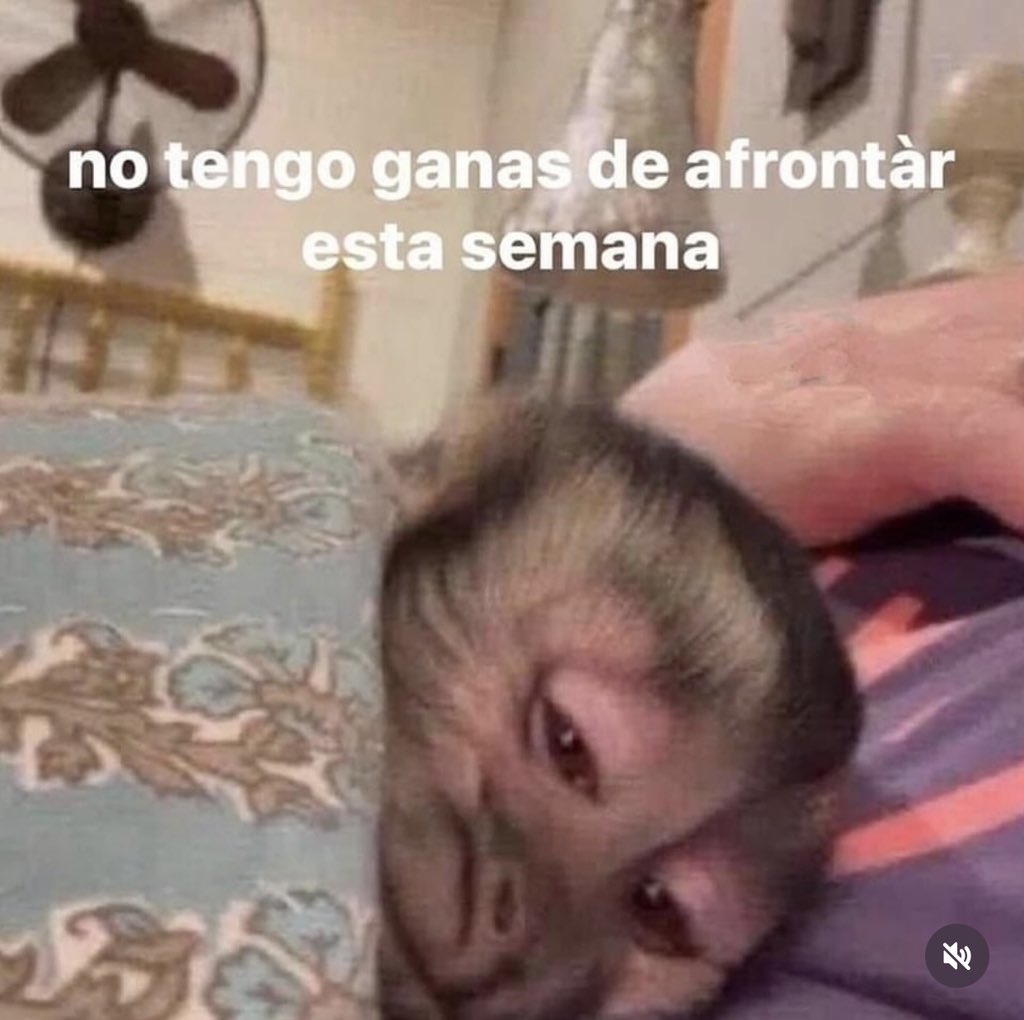 triste y con ganas de morirme ☹︎ (@cxrrly) on Twitter photo 