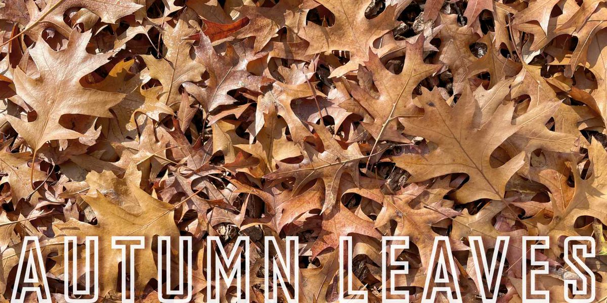 Jason Castle tweet media