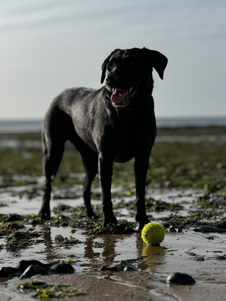 S̸t̵e̶f̸f̷ w̵a̶y̴ tweet media