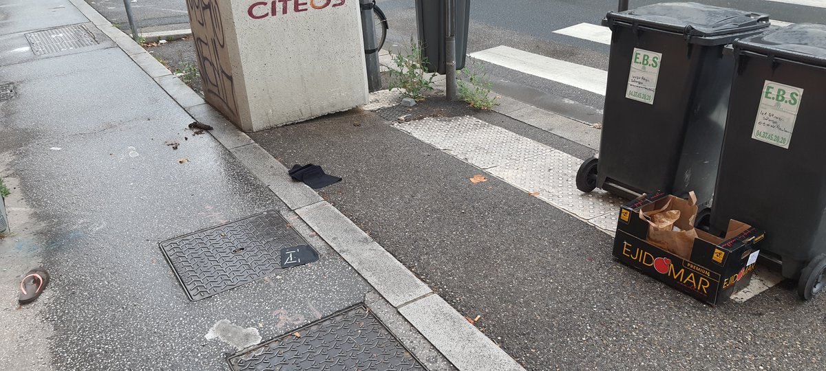 Grégory Morel tweet media