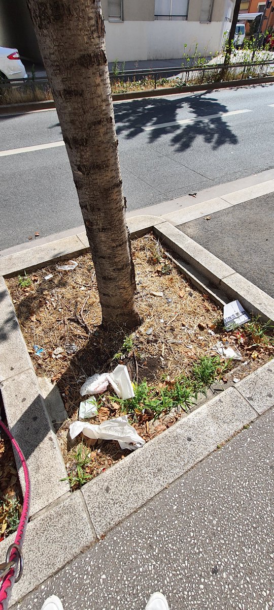 Grégory Morel tweet media