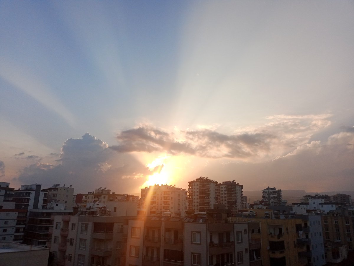 Mavi (@m_a_v_i_t_a_s) on Twitter photo 