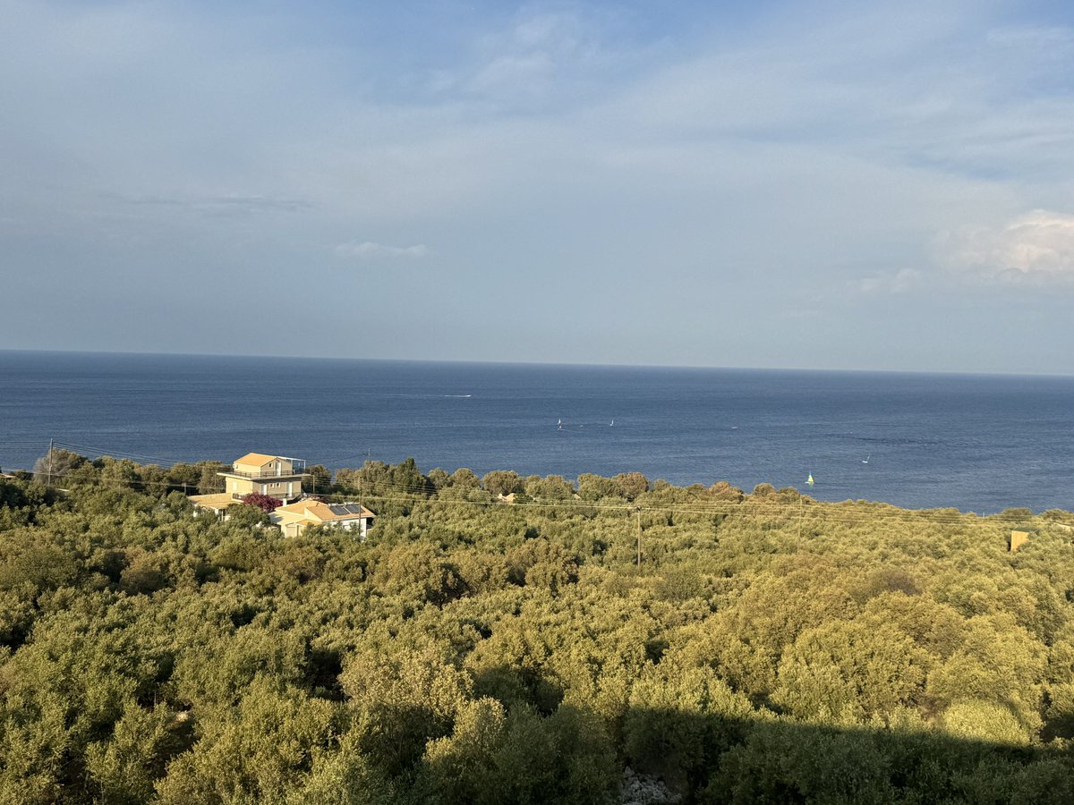 Come sarebbero gli uliveti pugliesi se <a href="/micheleemiliano/">Michele Emiliano</a> <a href="/NFratoianni/">nicola fratoianni</a> <a href="/AngeloBonelli1/">Angelo Bonelli</a> <a href="/ale_dibattista/">Alessandro Di Battista</a> <a href="/Mov5Stelle/">MoVimento 5 Stelle</a> <a href="/pdpuglia/">PD Puglia</a> non si fossero opposti alla barriera anti xylella condannando alla sparizione decine di milioni di piante secolari.
<a href="/WWFitalia/">wwfitalia</a> <a href="/Greenpeace_ITA/">Greenpeace Italia</a> <a href="/OfficialTozzi/">Mario Tozzi ⛏</a>