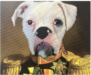 TownerComm's tweet photo. On National Dog Day, we’re celebrating the real boss around here—Bruce, our EVP of Taking Crap From No One.
#NationalDogDay #BruceTheBoss #Security #DogsofLinkedIn #TownerCommunications #OfficeLife #OfficeDog #officefun https://t.co/5gSFo0VjoB https://t.co/4vZzoSUKIW
