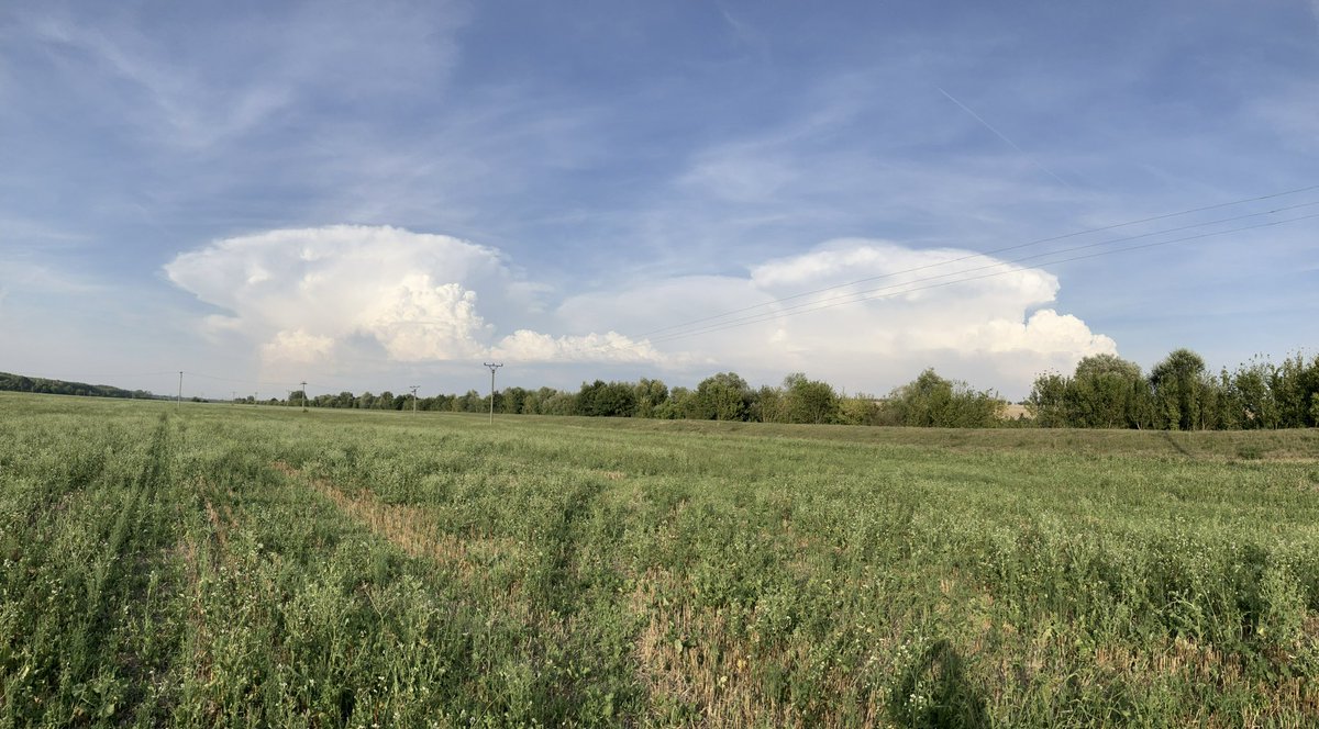 webekacko's tweet image. Začiatok hubárskej sezóny? Momentálne rastú aspoň #búrky pri Žarnovici a Dudinciach.
#Kmeťovo