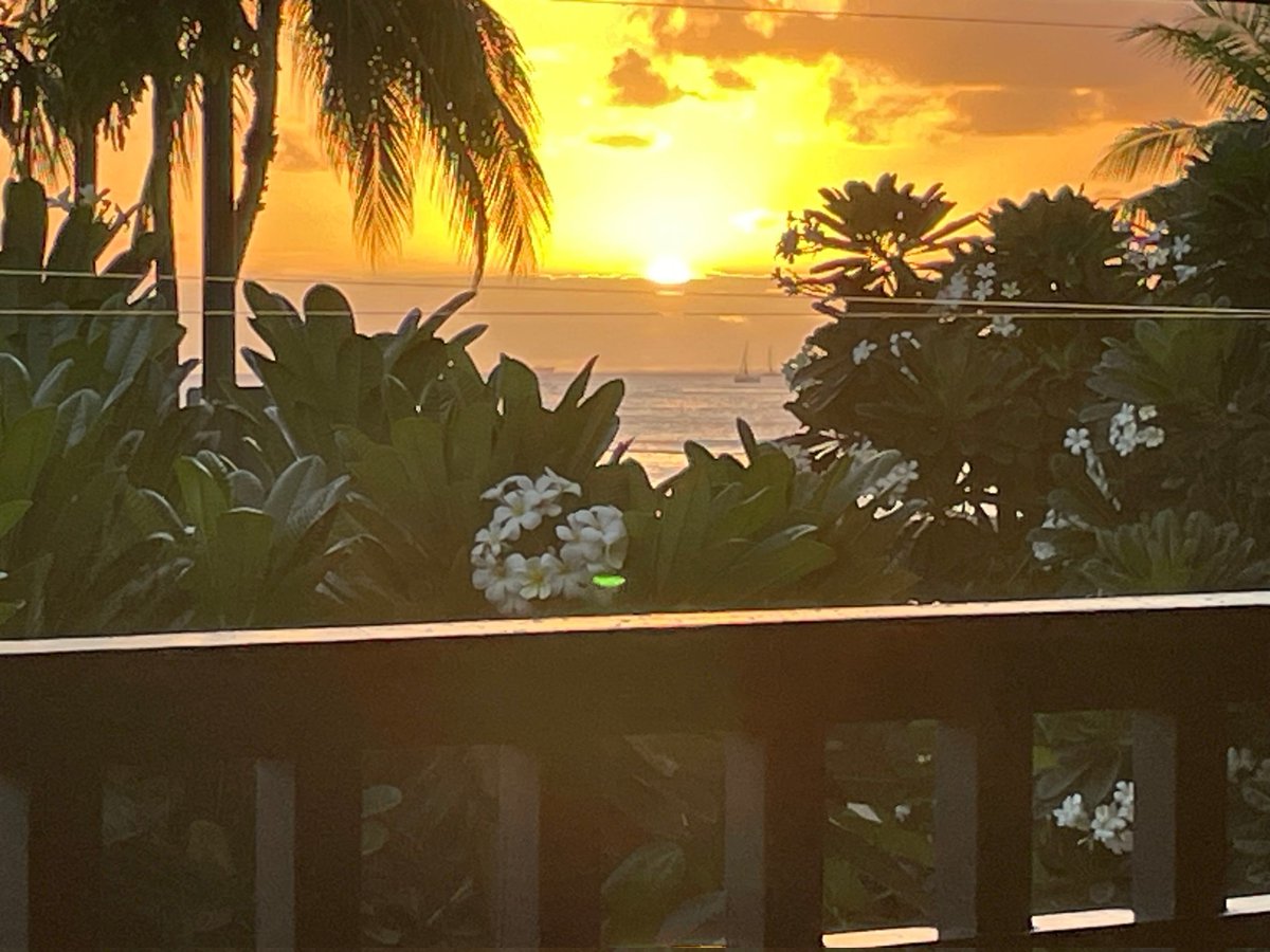 umi258147's tweet photo. Hawaiiへ行って来ました🤗 https://t.co/vH4iMnlyIC