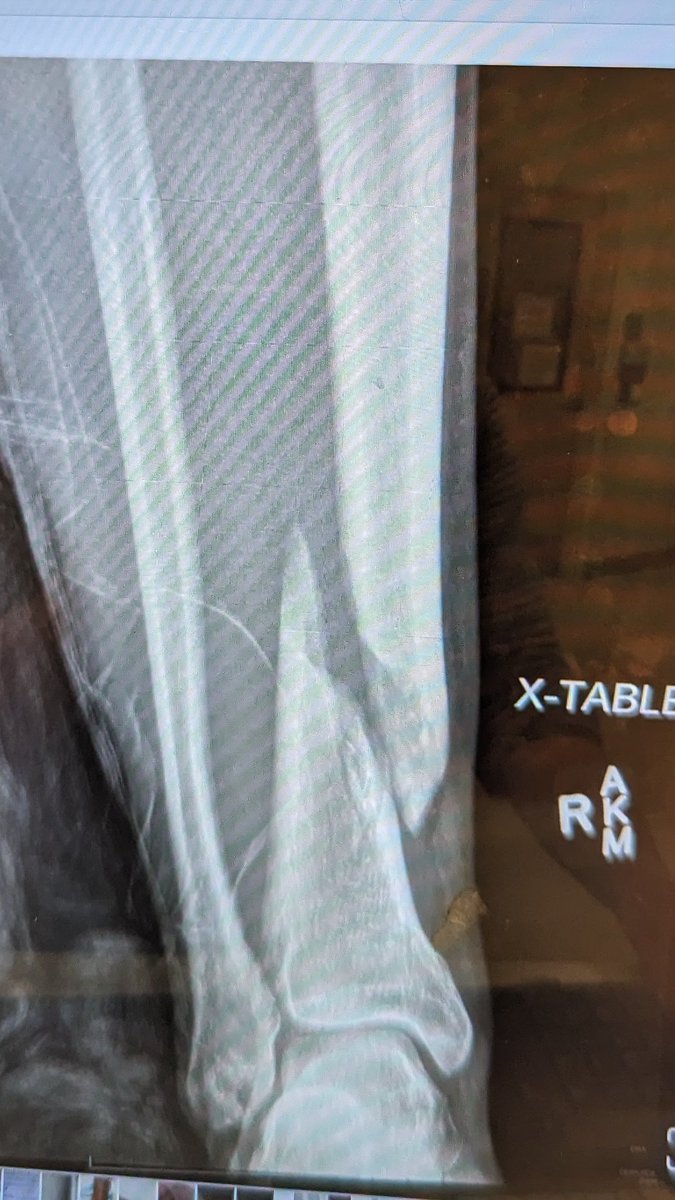 CCO Ryan tweet media