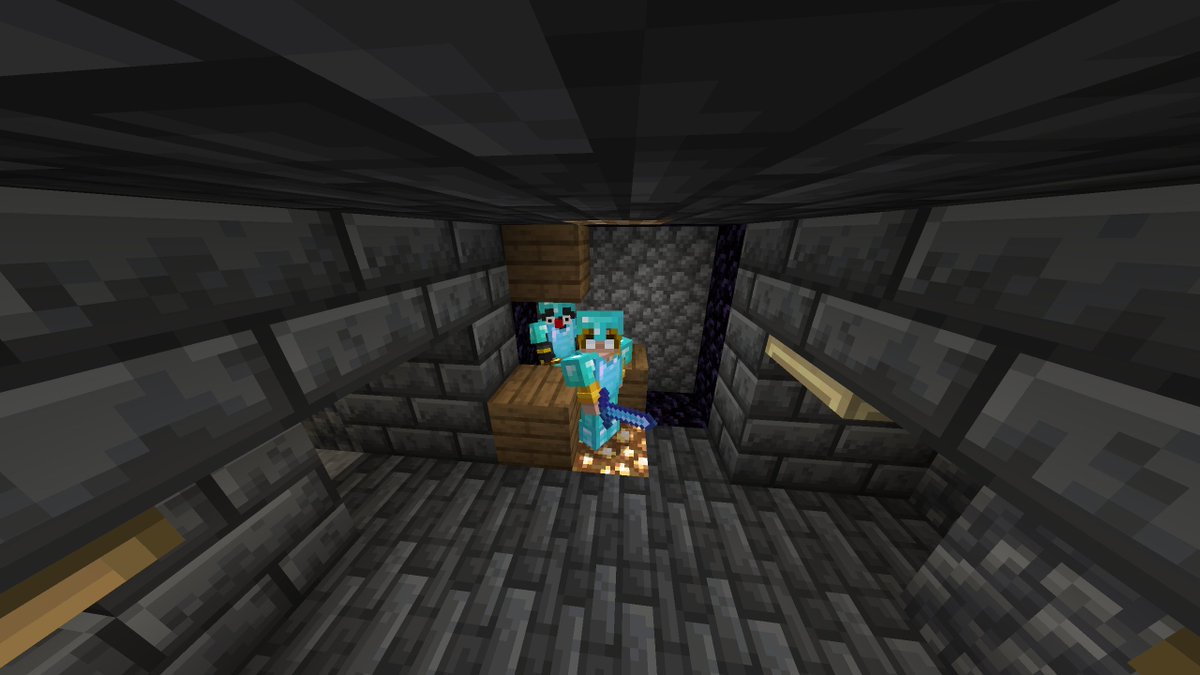 This was genuinely the most fun I've ever had playing Minecraft. I enjoyed each and every one of the members more than they'll ever know. I learned so much about Content Creation as well!

(Expect a video soon for real this time.)