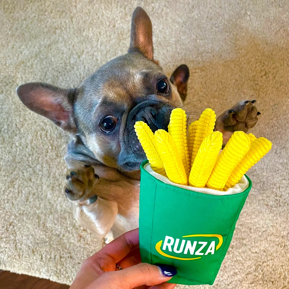 Runza Restaurants tweet media