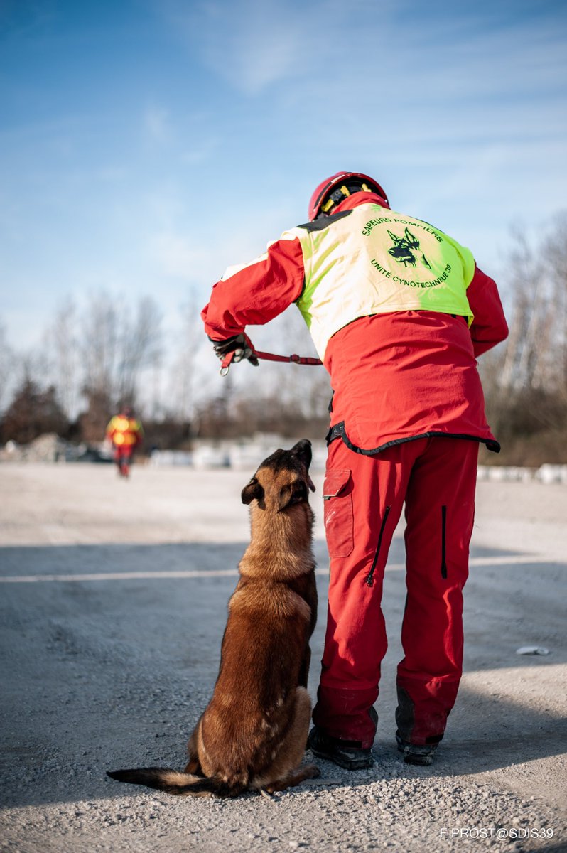[Journée mondiale du chien] 

En cette journée mondiale, une pensée particulière au Groupe Cynotechnique 39. 🐕
Chaque année, notre équipe effectue environ 40 interventions.🚒

Nos chiens sont formés pour la rechercher de personnes en mode questage ou en mode piste. 🐾
<a href="/Prefet39/">Préfet du Jura</a>