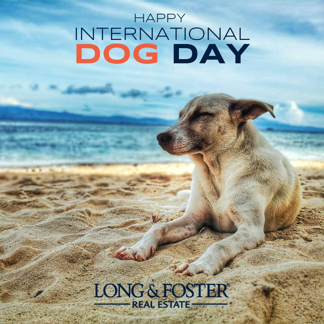 longandfoster's tweet image. On #NationalDogDay, we celebrate our fluffy friends who help make a house a home. Boop! 🐾
