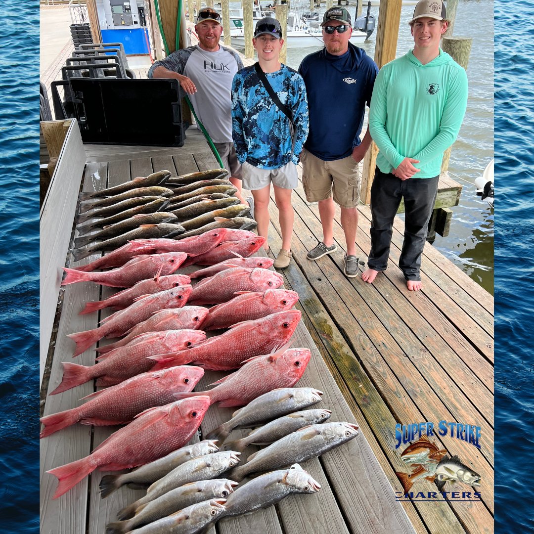 DPMSSC's tweet photo. Inshore fishing hustle💪😉

The Miller crew from Texas, with Captain Chase, caught 16 red snappers, 13 redfish, 8 white trout, and a few bull redfish!

#superstrike #superstrikefishingcharters #fishing #inshorefishing #redsnapper #redfish #bullredfish #whitetrout https://t.co/Y9PXpzLsJJ