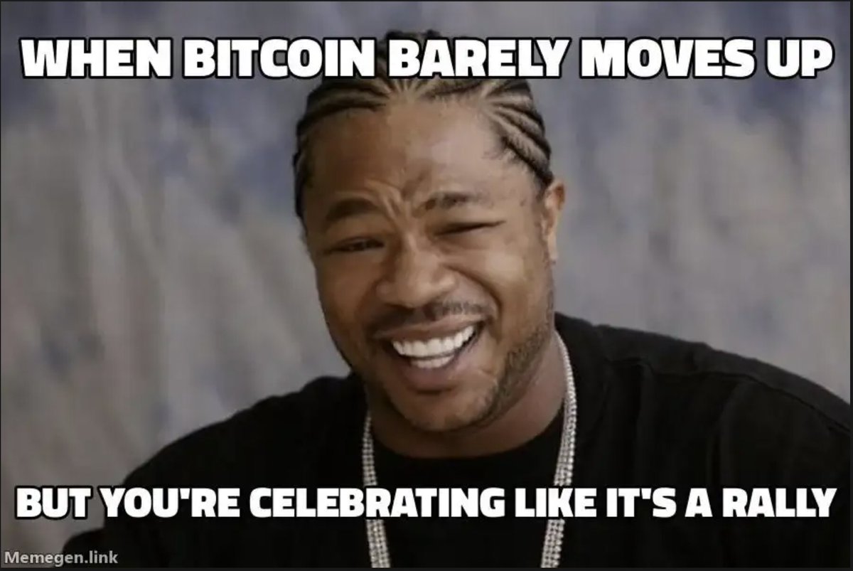 Bitcoin has had its ups and downs, especially in 2024. How frequently do  you check the price of BTC? #bitcoin #crypto2024 #meme #cryptomeme