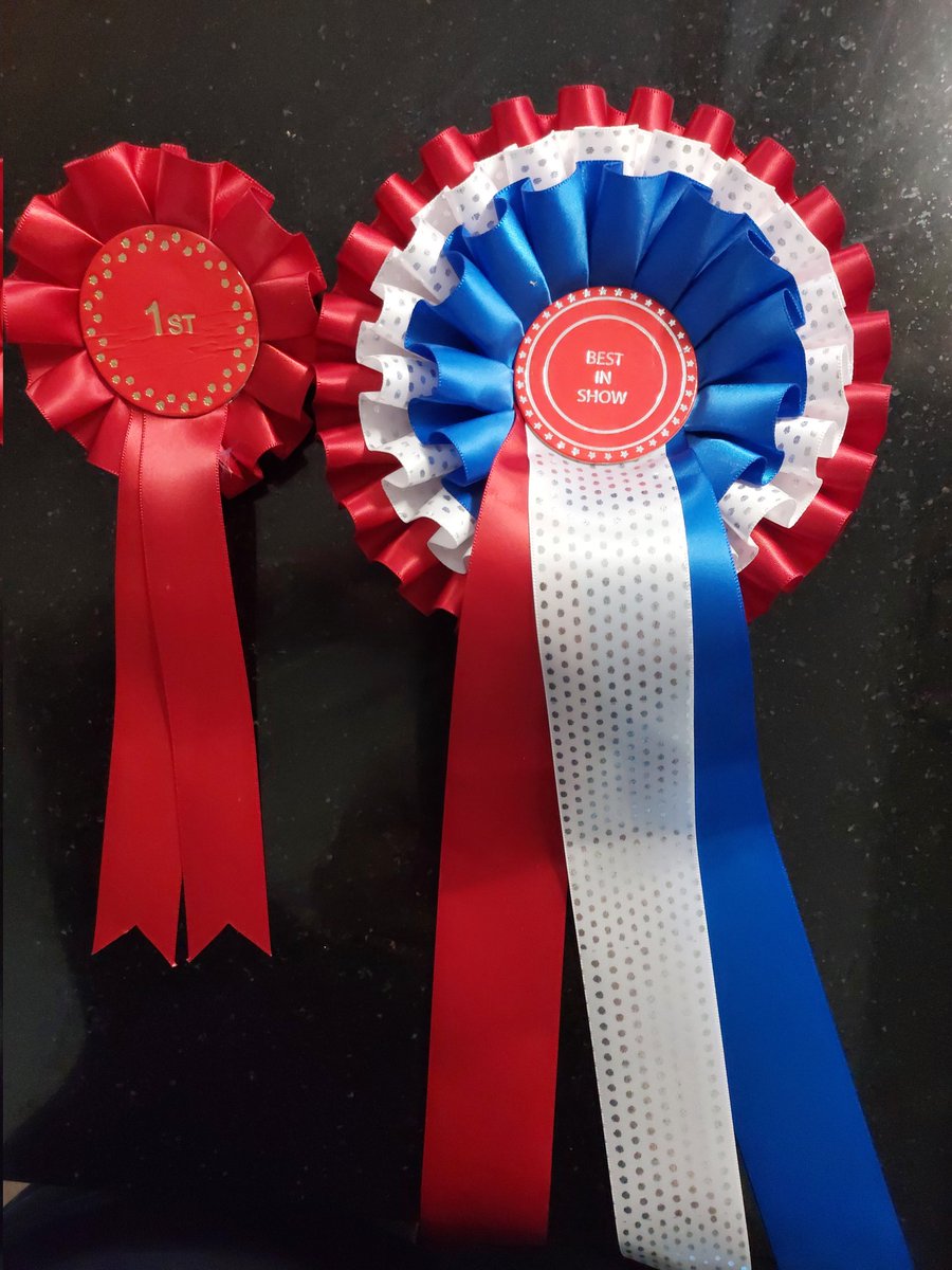 gdvenus2016's tweet photo. I just won Best in Show at #FulfordShow!!!!! https://t.co/57vV59GfOM