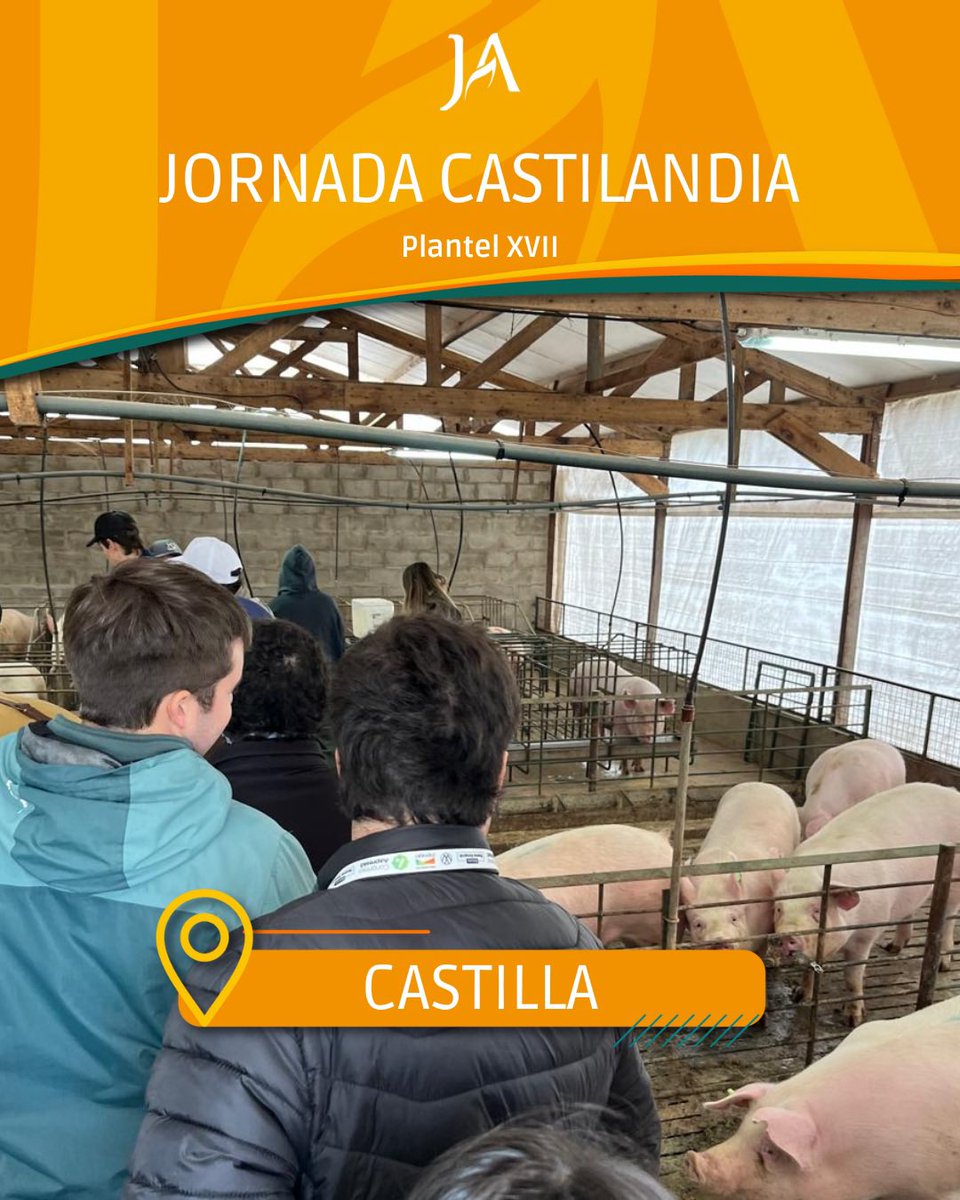 JornaderosAgro's tweet photo. Visitamos la empresa Castilandia ubicada en Castilla en el establecimiento Los Cedros📍

Nos recibieron Javier Grignani y Juan Martin Diharce, los gerentes de la empresa que nos comentaron sobre la producción porcina y cómo se manejan las grandes granjas. 🐖 https://t.co/n8wrPLioKR