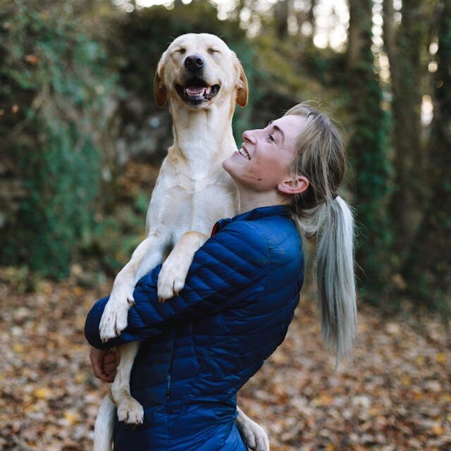 GBCautism's tweet photo. Today, we celebrate the special bond between humans and our canine companions. At GBC Autism Services, we recognize the positive impact therapy dogs have on our community. Here's to the love, support, and joy they bring every day! #NationalDogDay #TherapyDogs #AutismSupport https://t.co/lTXq0FRHGL