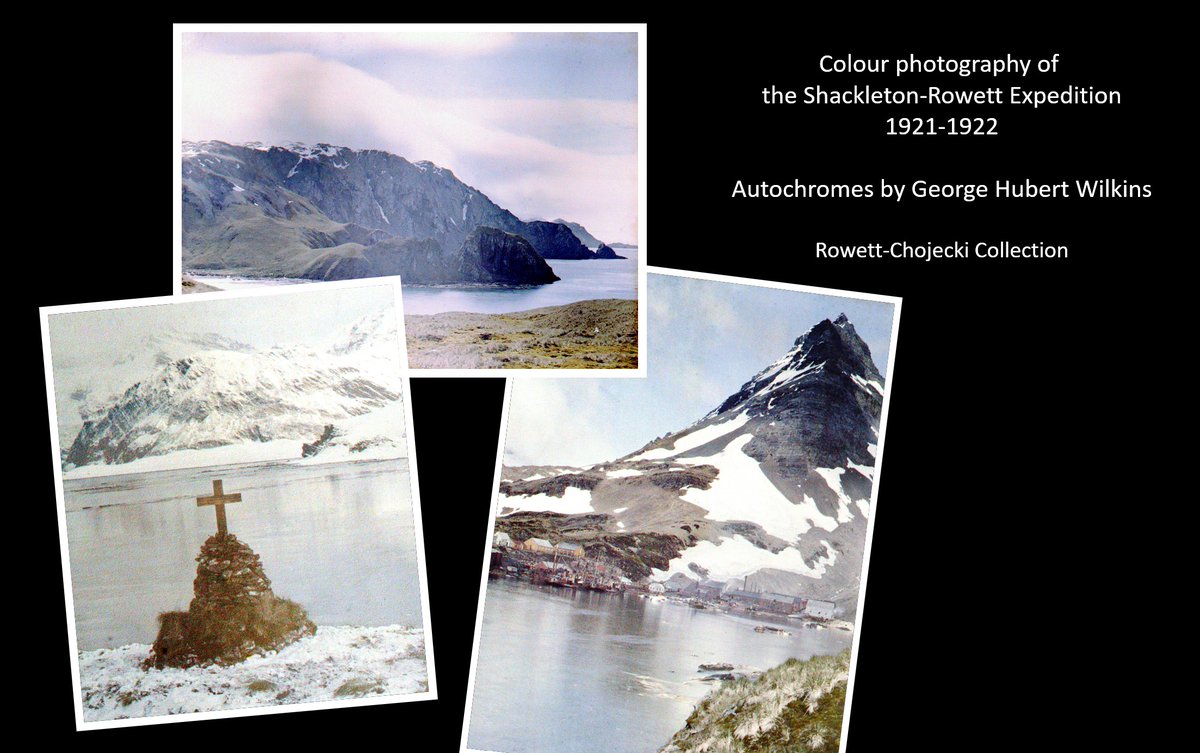 Quest Chronicle tweet media