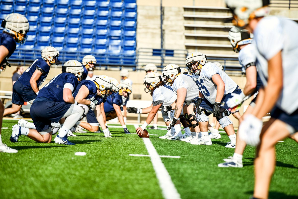 Augustana Football tweet media