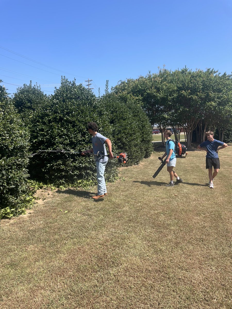 AthensTurfClass's tweet image. Home football game Friday night!! Shaping the Hollies in front of the stadium.