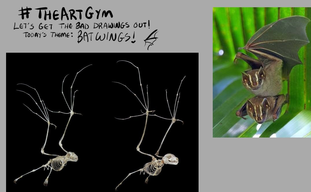 KaseySnowArt's tweet photo. In honor of Smaugust, we are studying bat wings today! Come practice wings with me for all of your dragon design needs. :3
https://t.co/AVsGwVr20J
#TheArtGym #drawalong #twitchartist #animalstudy https://t.co/3kCegh4Luu
