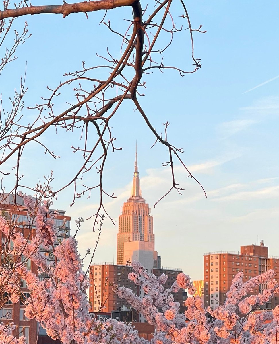 Interested in winning $5,000?

The Empire State Building’s Annual Digital Content Contest ends this week on August 31.

Enter your photo or video today: esrt.co/299