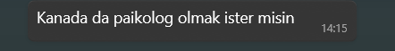 selendedee's tweet photo. Türkiye'de kurulu düzenim var canım gelemem ya https://t.co/zShU35JEJm