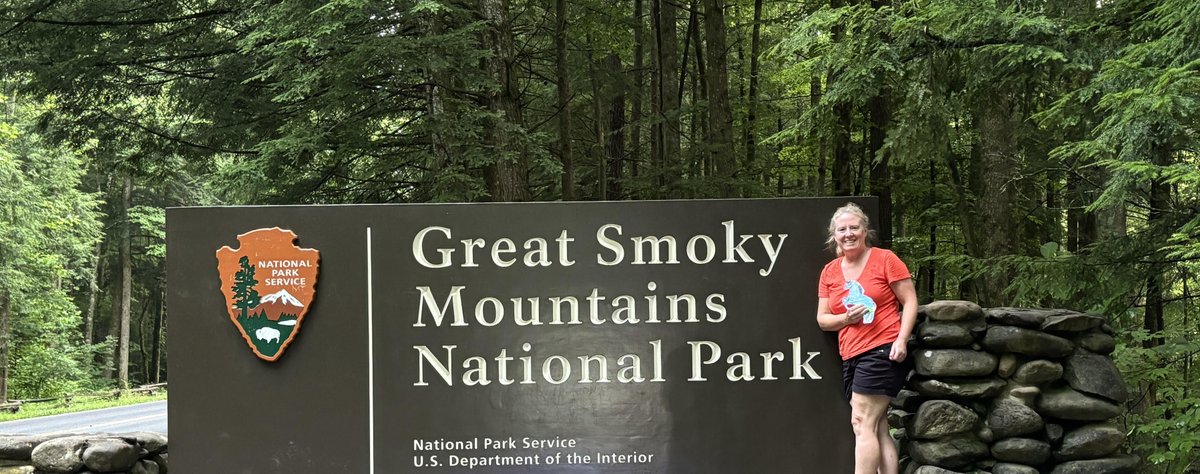 Flat Mustang tweet media