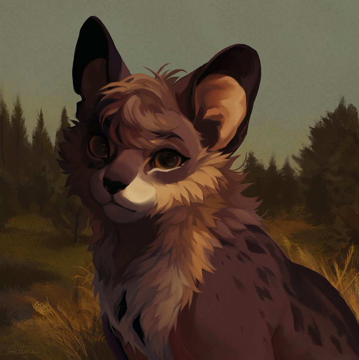 Luneo in the early morning