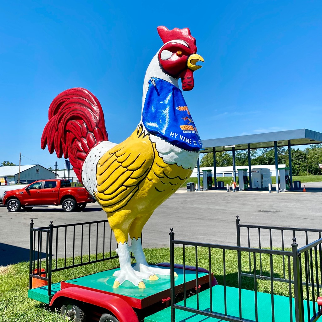 DerbyCityPhil's tweet photo. "If you have a problem, If no one else can help and if you can find him, maybe you can hire… this giant chicken just outside of Bardstown."⁠
⁠
Recently visited my old friend Ozzie Frank, who truly is in remarkable shape after all these years, at infamous #RoosterRun on KY-245. https://t.co/Td2MeJ1keO
