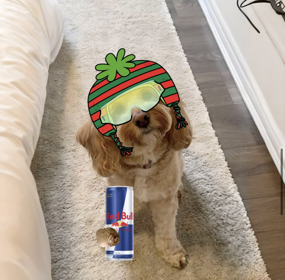 lunasoldog's tweet photo. $LUNA ABOUT TO GIVE YOUR ENTRY WINGS https://t.co/myKKw1cBLW