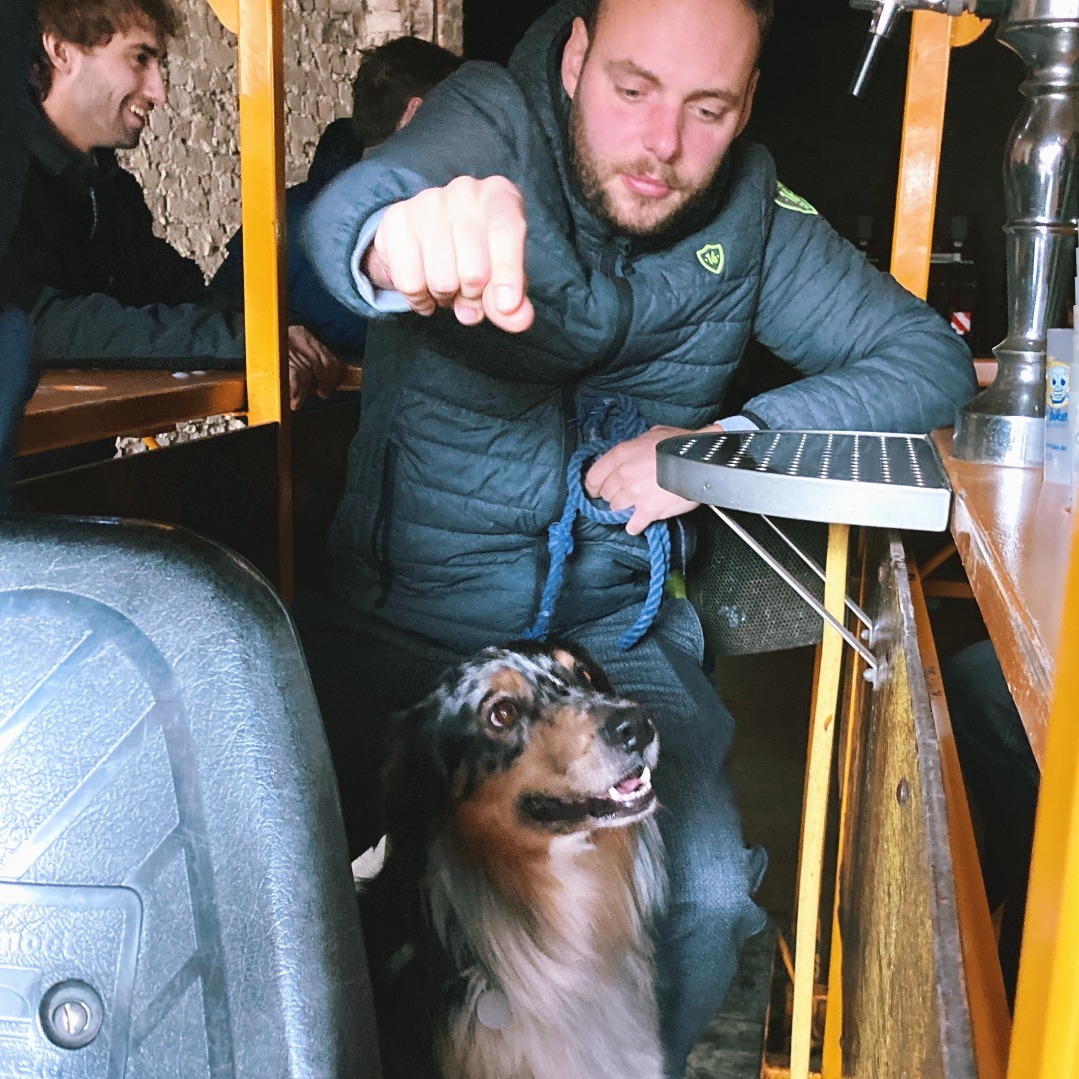 Let it Bike! tweet media