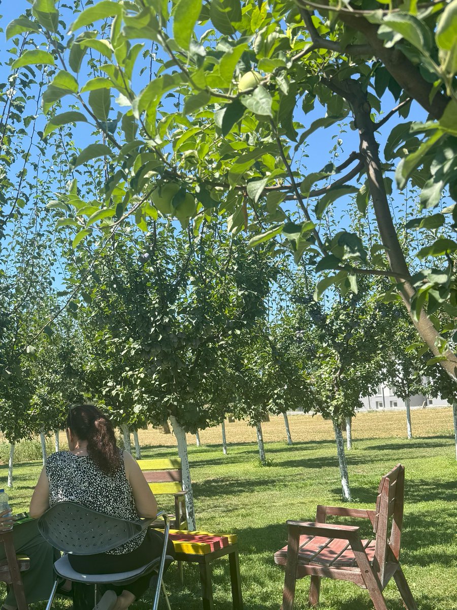 RuWell_IAMO's tweet photo. 👩‍💼 A special shoutout to @Arbnshala, who supervised enumerators in a Kosovo village. This hands-on experience provided invaluable insights into the challenges of data collection. Despite the heat, the dedication of both enumerators &amp; respondents will make this survey a success. https://t.co/4LGt01UPlu