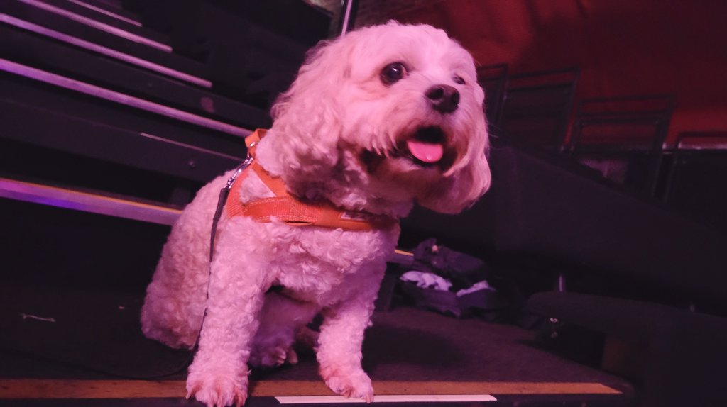 Nice evening at <a href="/XSMalarkey/">XSMalarkey</a>'s new material comedy gig Testing Testing at <a href="/53two/">53two</a> last night.

Think Stan might fancy an open mic slot at some point.
