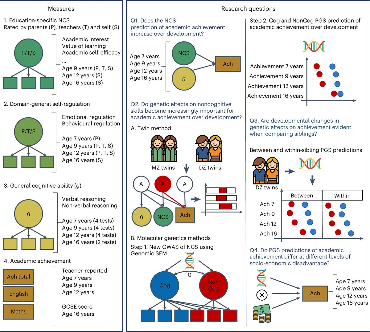 Dr. Margherita Malanchini (@marghmalanchini) on Twitter photo Out today in <a href="/NatureHumBehav/">Nature Human Behaviour</a>: Genetic associations between non-cognitive skills and academic achievement over development nature.com/articles/s4156…
<a href="/QMUL/">Queen Mary University of London</a> <a href="/QM_SBBS/">QM_SBBS</a> <a href="/uclnews/">UCL News</a> A detailed thread👇 Out today in <a href="/NatureHumBehav/">Nature Human Behaviour</a>: Genetic associations between non-cognitive skills and academic achievement over development nature.com/articles/s4156…
<a href="/QMUL/">Queen Mary University of London</a> <a href="/QM_SBBS/">QM_SBBS</a> <a href="/uclnews/">UCL News</a> A detailed thread👇