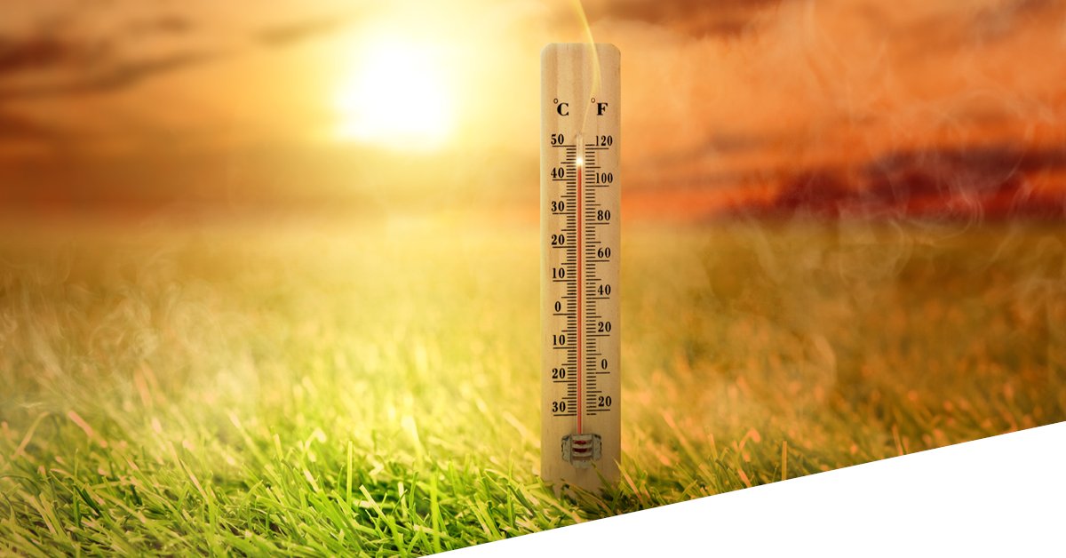 De KNMI voorspelt 𝗼𝗽𝗹𝗼𝗽𝗲𝗻𝗱𝗲 𝘁𝗲𝗺𝗽𝗲𝗿𝗮𝘁𝘂𝗿𝗲𝗻 de komende dagen. Neem daarom tijdig maatregelen voor jouw dieren en raadpleeg de tips op onze 𝗛𝗶𝘁𝘁𝗲𝘀𝘁𝗿𝗲𝘀𝘀 𝗖𝗵𝗲𝗰𝗸 &amp; 𝗔𝗱𝘃𝗶𝗲𝘀 pagina hittestresscheck.nl 
#hittestress #geenhittestress