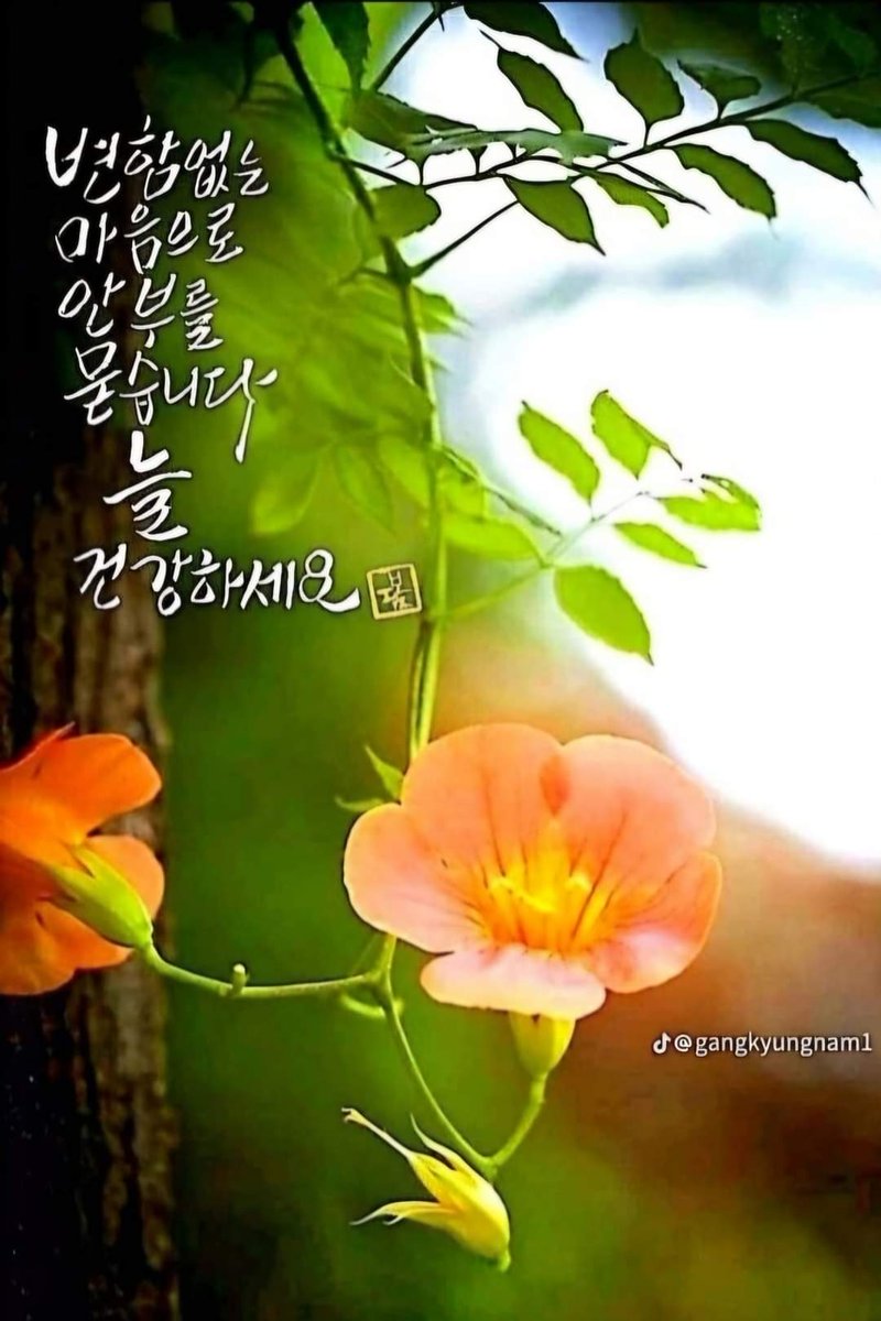 ok650908ok's tweet photo. https://t.co/zLNKWF9KSw