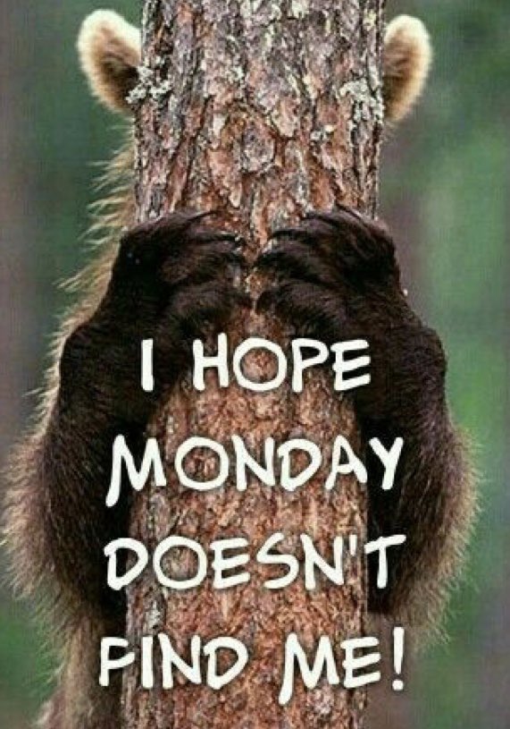 Happy Monday Everyone!

Cranberry scones today!

•Open today 8-4 check us out online hojoe.ca!

We look forward to seeing you today!