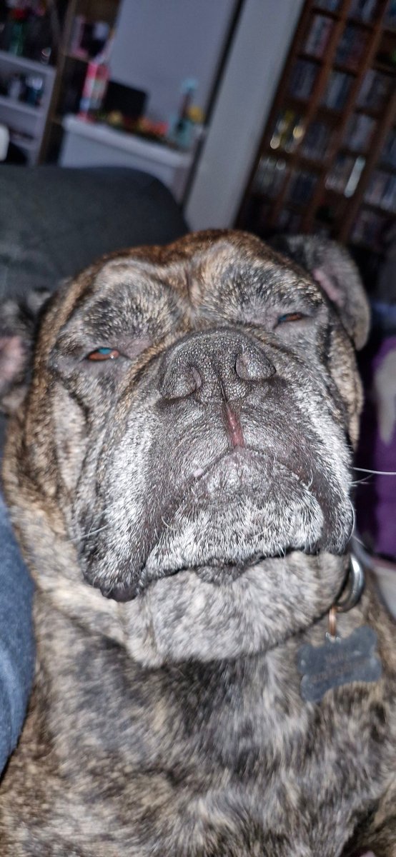 Fifi Lou tweet media