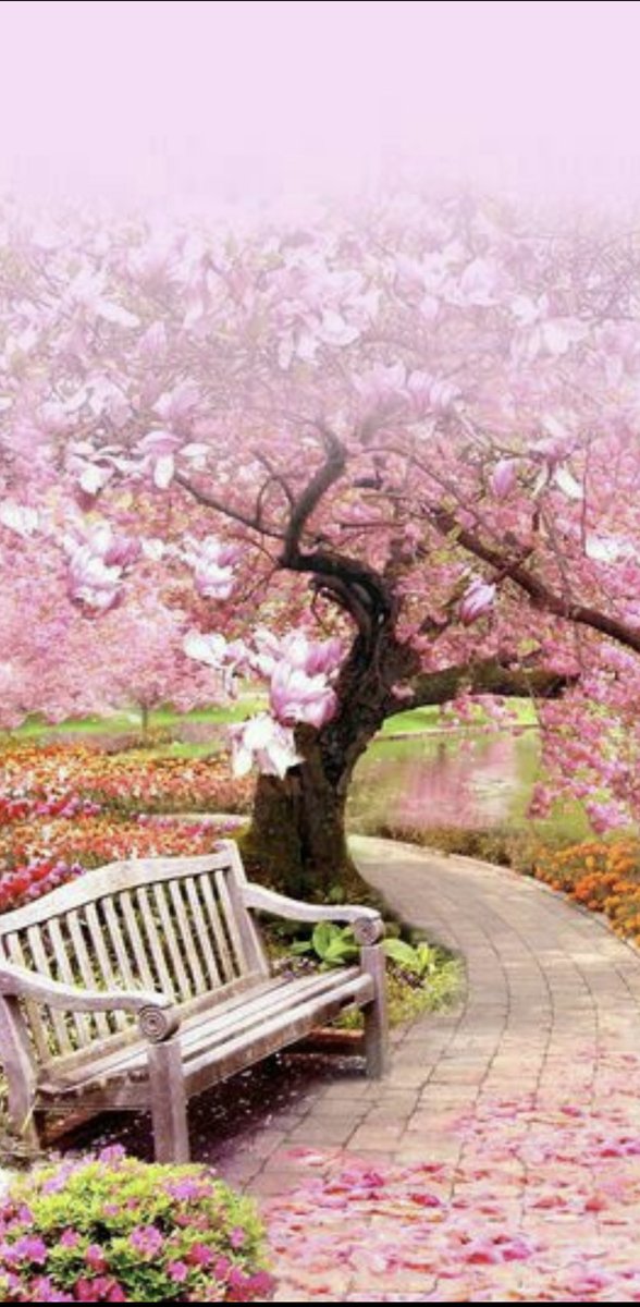 115_joory's tweet photo. أيــــــاماً تســــــرنا وعــــــافية 

تــــــدوم، وخــــــيراً لا ينقطــــــع 

     يا اللَّــــــه.*🌸 https://t.co/XlknJsNyQA