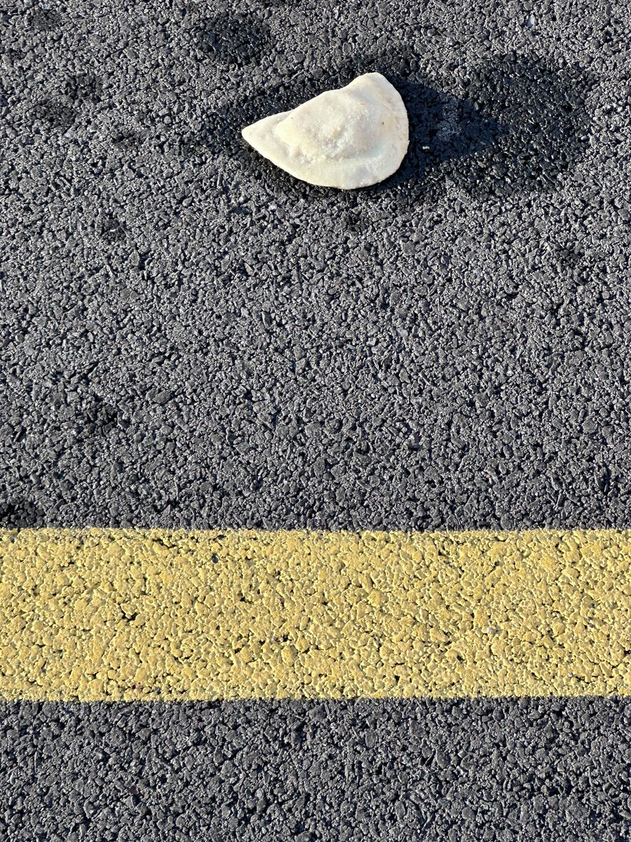 I was off on Friday, taking my youngest back to school. I am not sure what happened at work that day but they may have had a pierogi party without me? The one Polish person that works there?!?