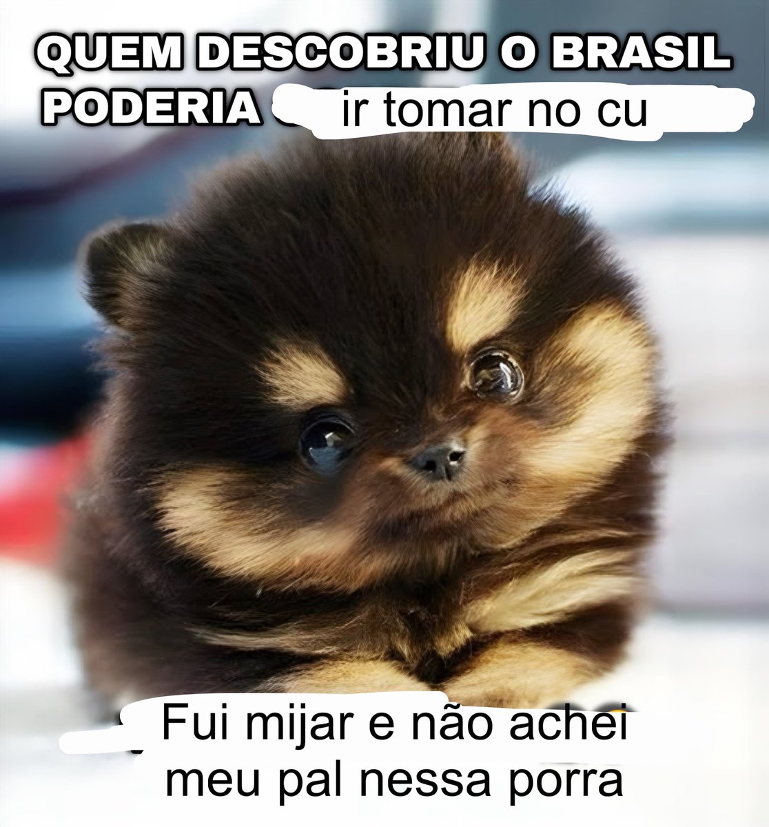samengo_ofc's tweet photo. 15° graus tmnc https://t.co/oNrdUmEOYO