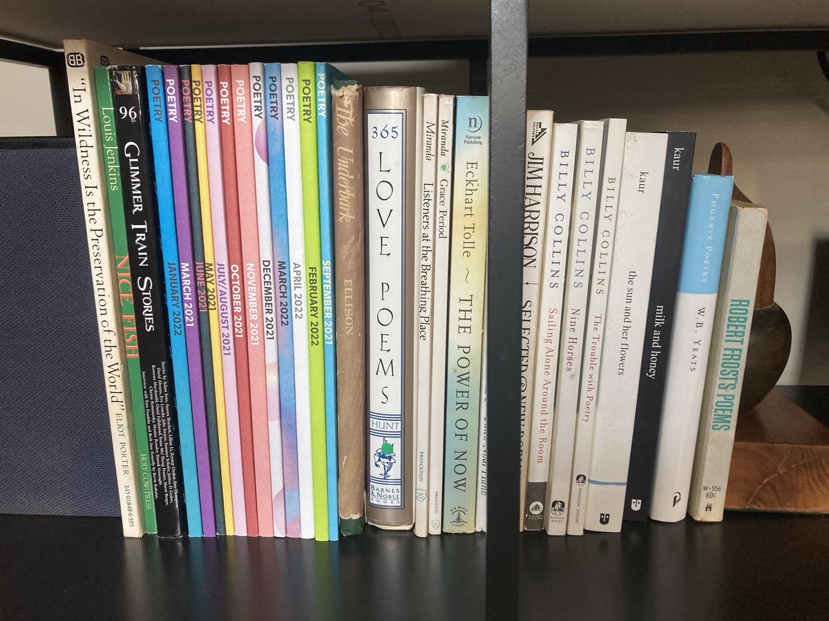 Rate/roast my Airbnb's bookshelf