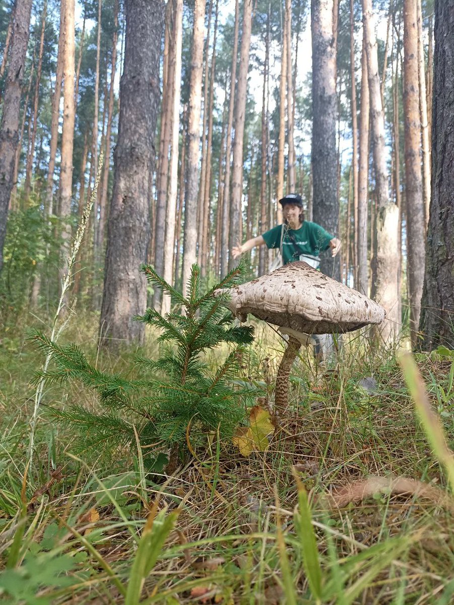 тася завалталь 🎲 tweet media