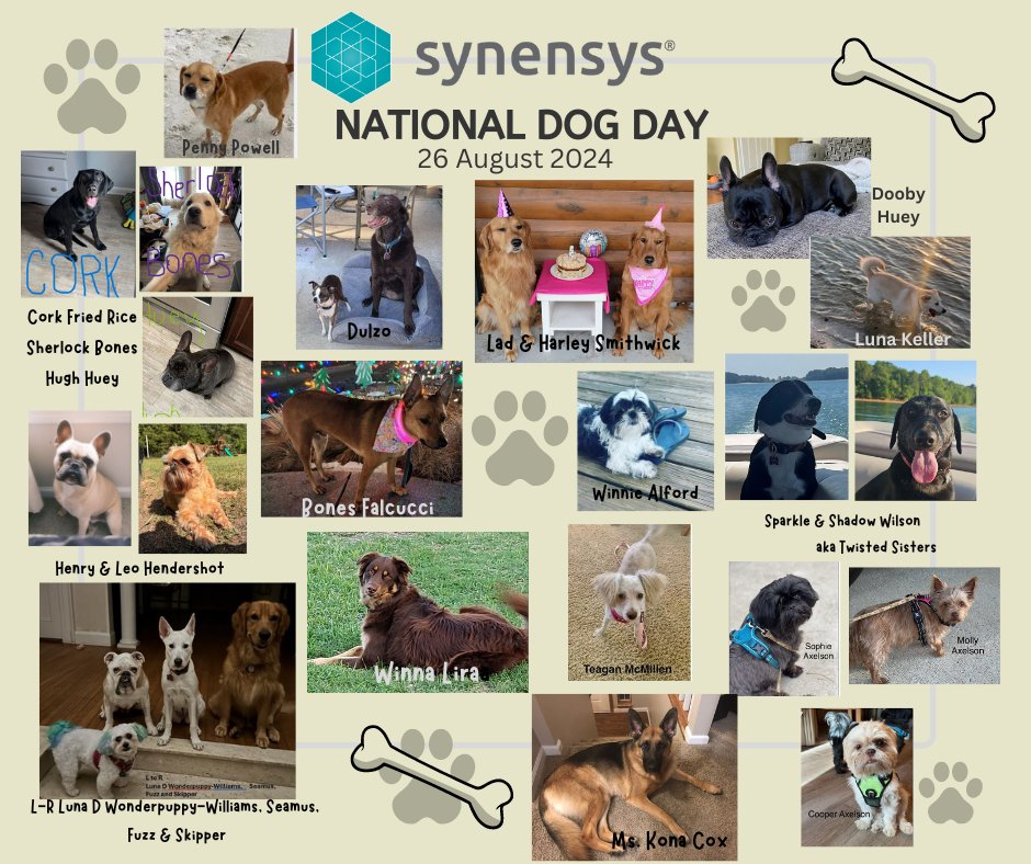 Happy National Dog Day from all our well-loved Synensys pups! #nationaldogday