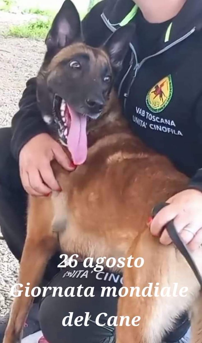Vab Toscana (@vabtoscana) on Twitter photo 