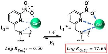 NanoSelf (@nanoselflab) on Twitter photo Glad to collaborate with the <a href="/ImmoUdc/">REACT! - IMMO</a> group about the "Remarkable enhancement of Ca2+ affinity using a redox-switchable coordinating group", opening possibilities for applications in biological or industrial sensing.
doi.org/10.1039/D4QI01… Glad to collaborate with the <a href="/ImmoUdc/">REACT! - IMMO</a> group about the "Remarkable enhancement of Ca2+ affinity using a redox-switchable coordinating group", opening possibilities for applications in biological or industrial sensing.
doi.org/10.1039/D4QI01…