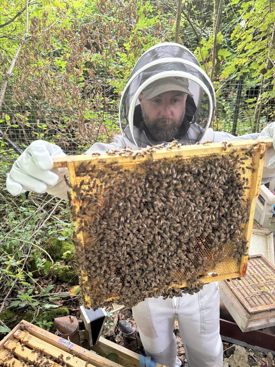 Thesixbees tweet media