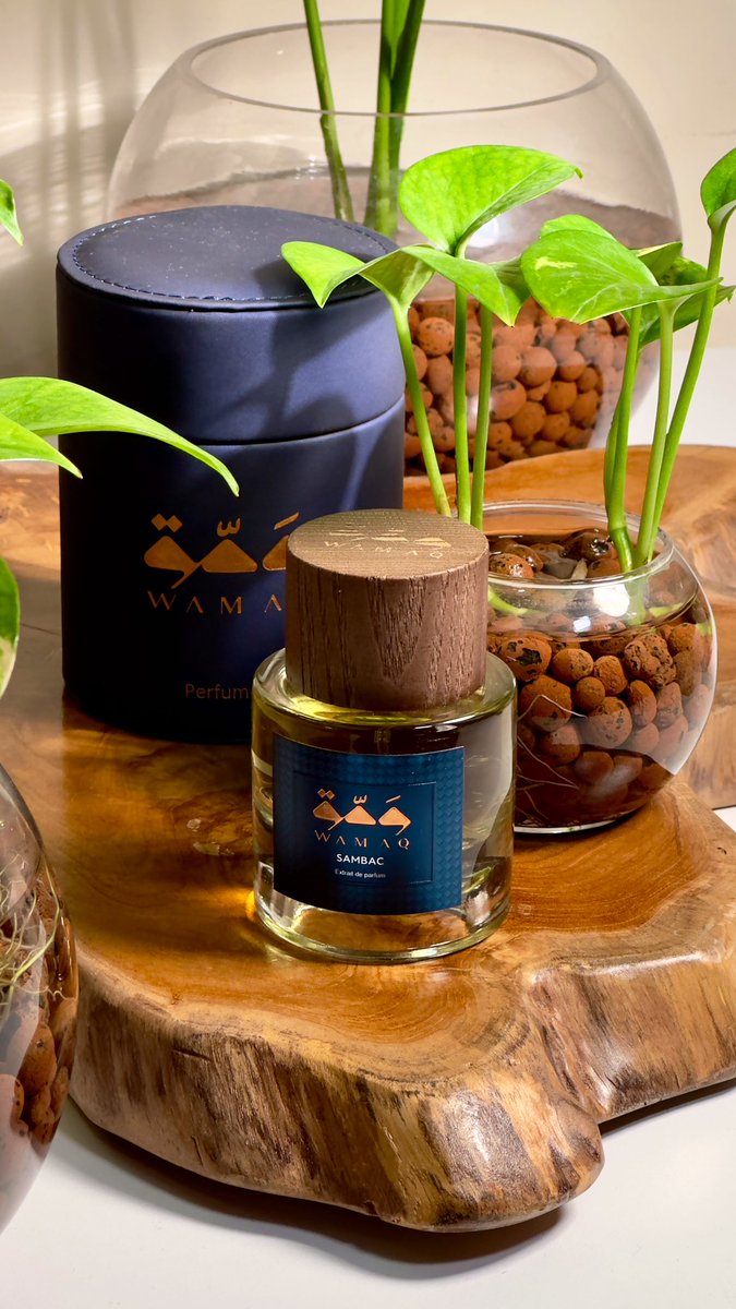 🍃
🍃🍃
زهرة الياسمين 
هي الشاعرة الصامتة
في كل حديقة ✨
عطر بجمال ازهار الياسمين 
الندية في صباح مشرق✨
SAMBAC
BY WAMAQ
#رابطة_عشاق_العطور 
#قصة_عطر 
#jasmine 
🍃🍃
🍃