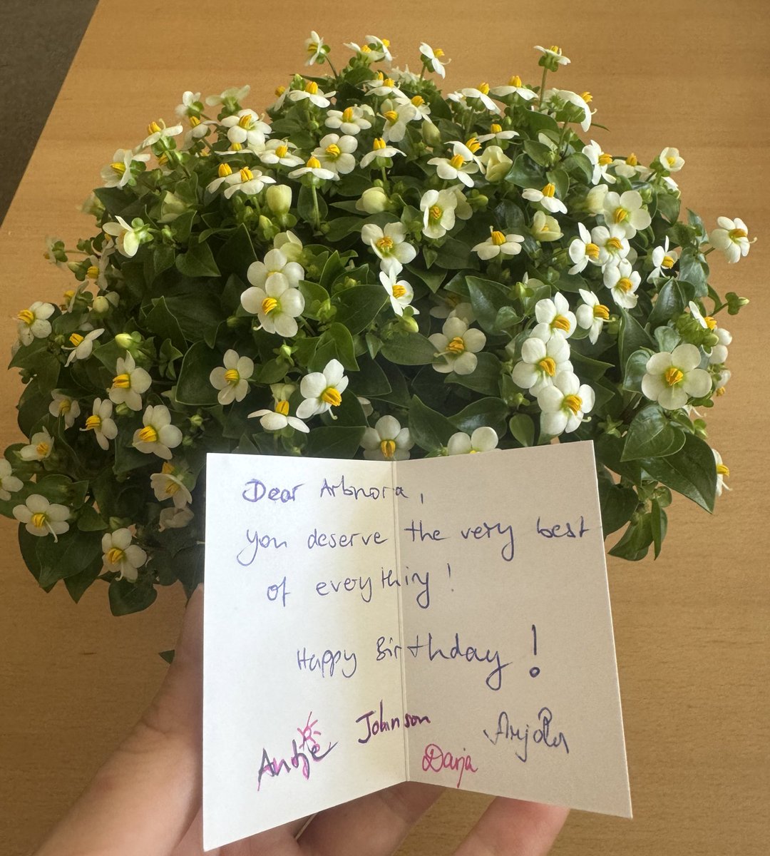 Arbnshala's tweet photo. Feeling so lucky to have such a thoughtful team @RuWell_IAMO. Thank you all for brightening my birthday with a flower and a lovely card. They brought a huge smile to my face. 
Grateful for these moments! 🌸😊#teamLove #workFamily https://t.co/KNI9Qew4wp