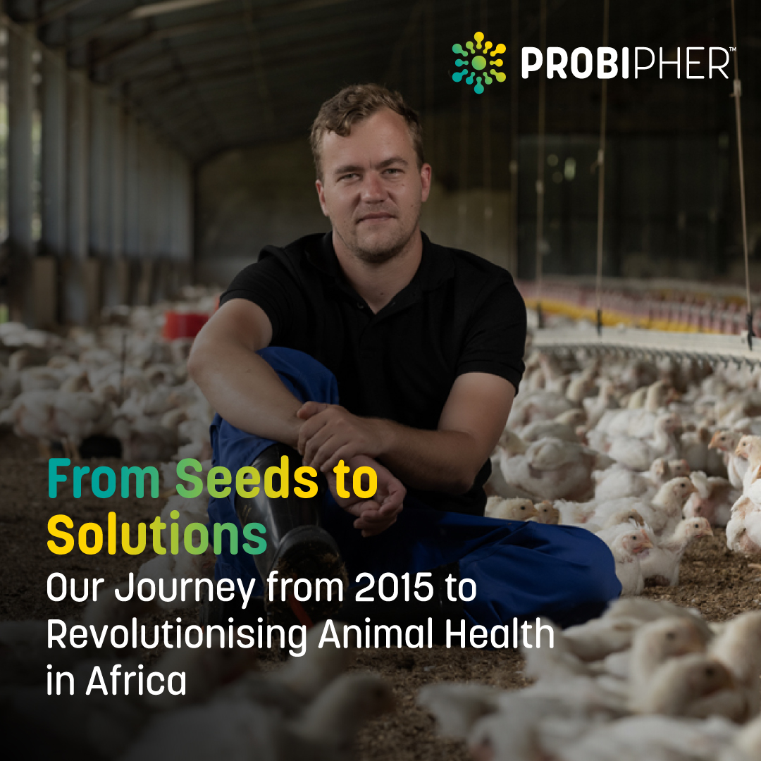 From research in 2015 to probiotic solutions today!  Proud of our journey to improve animal health across Africa. #Probipher #Probiotics #AnimalHealth